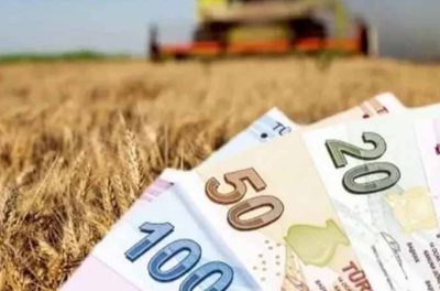 tarım bakanlığı duyurdu: 84 milyon lira çiftçilerin hesabına yatıyor